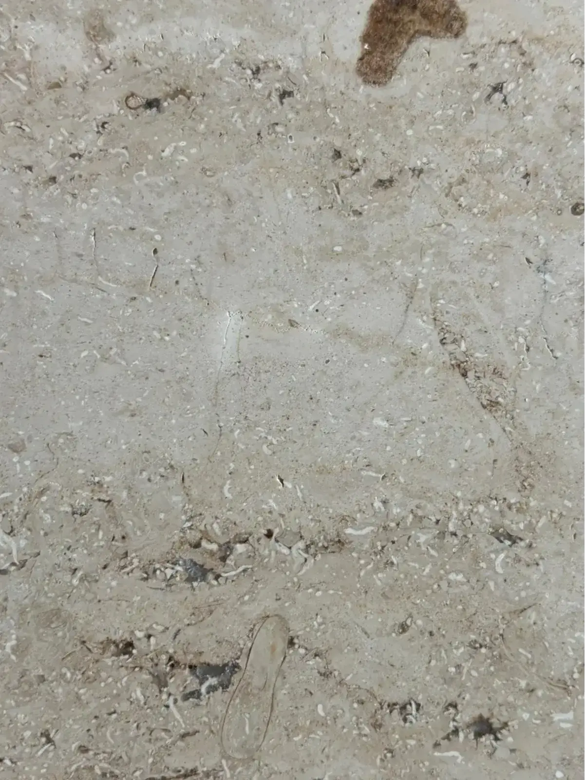 JURA MARMOR GELB-GEBÄNDERT