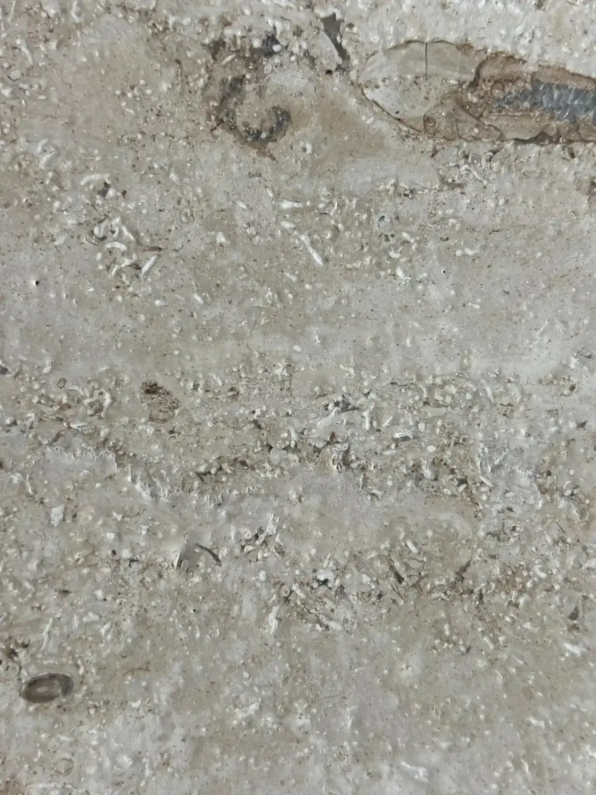 JURA MARMOR GELB-GEBÄNDERT, ANTIK PALAIS