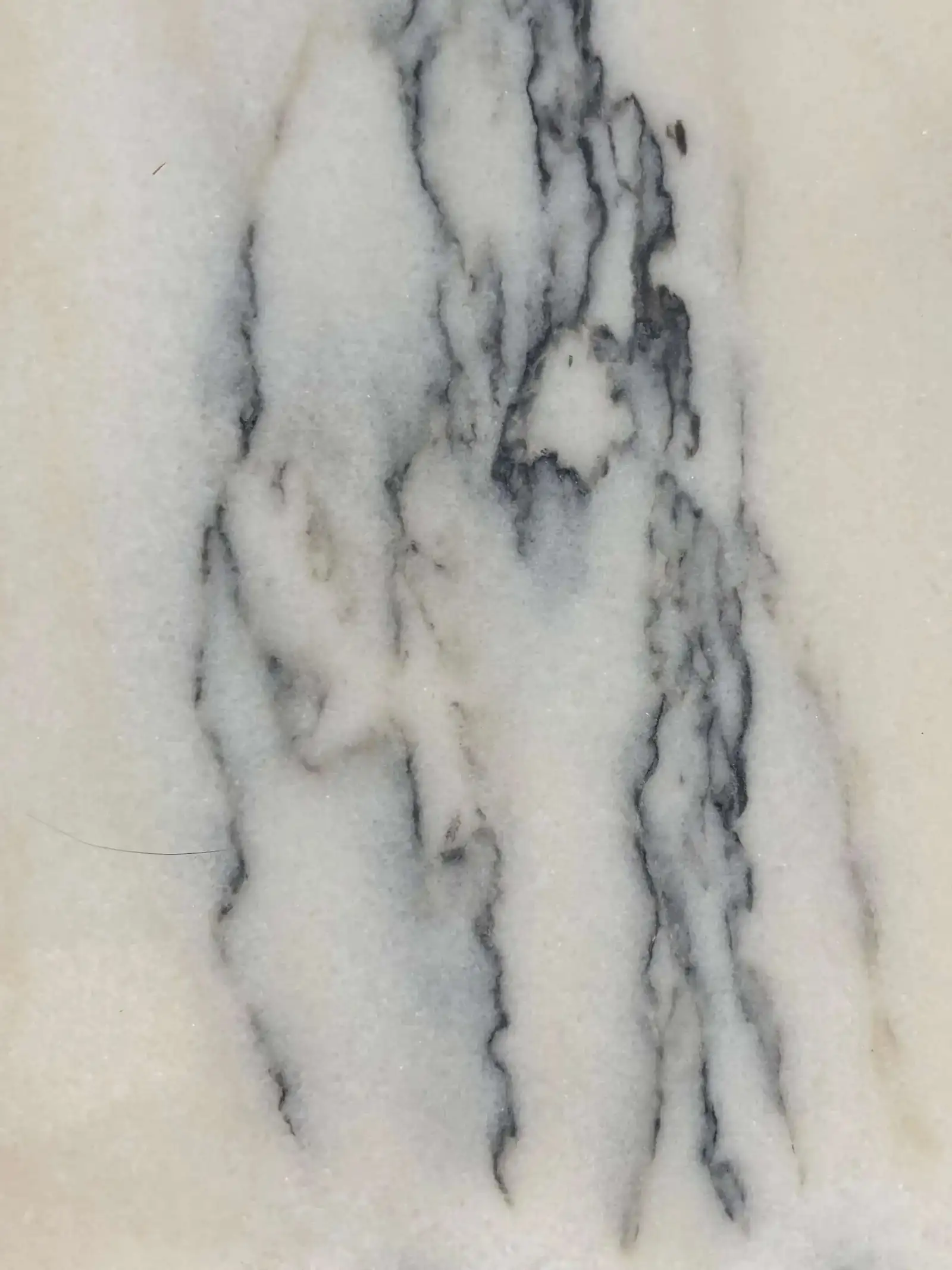 CREM ONICIATO VENATO