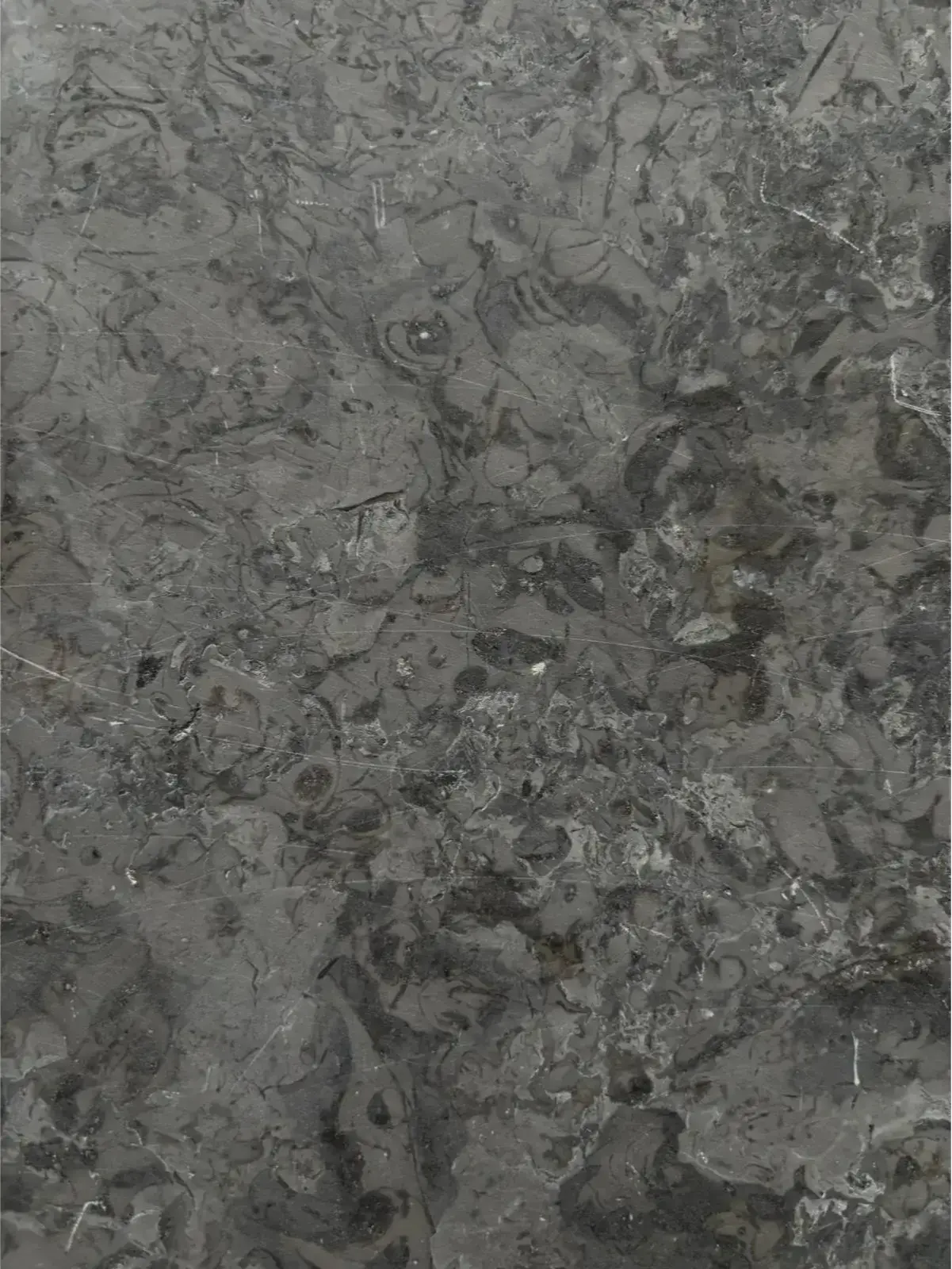 MUSCHELKALK EDELGRAU Sedimentsgestein