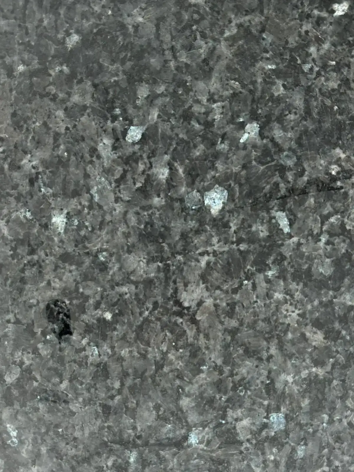 LABRADOR BLAUPERLE